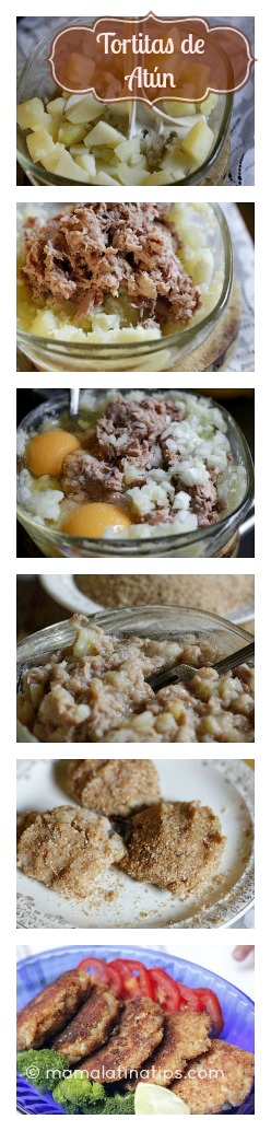 tortitas de atún