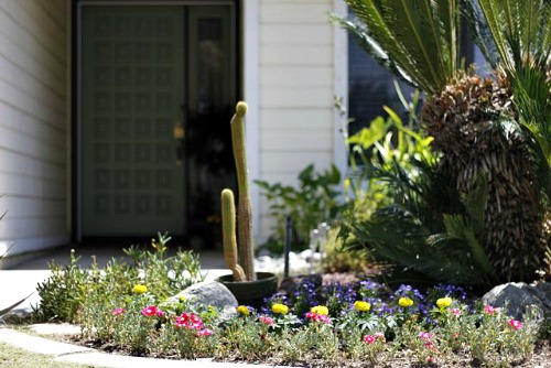 Detalle de un jardín con flores y cactus en frente de una puerta de una casa.