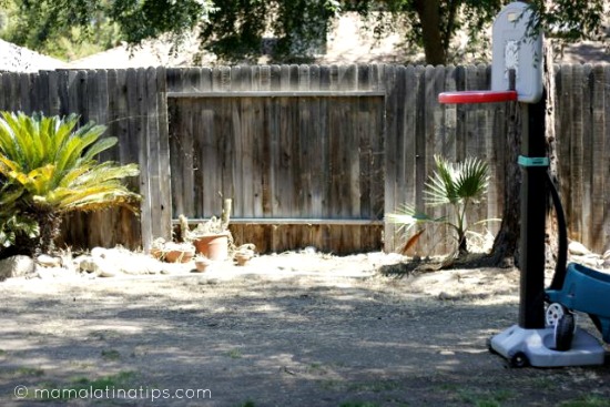 Patio trasero de una casa, sin pasto, sólo con dos palmeras pequeñas y una canasta de basketball para niños en la parte derecha. 