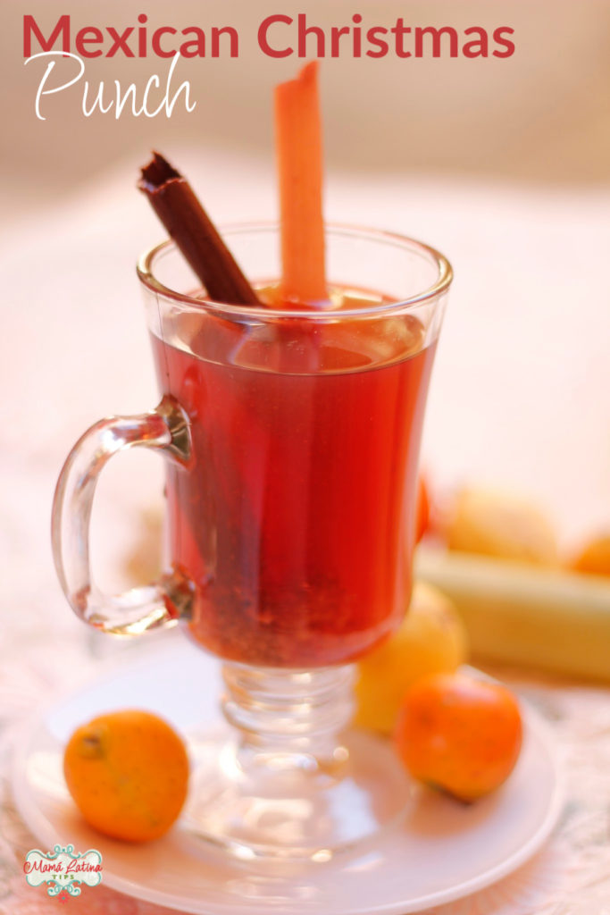 Glass cup with Mexican Christmas punch and a cinnamon stick and sugar cane