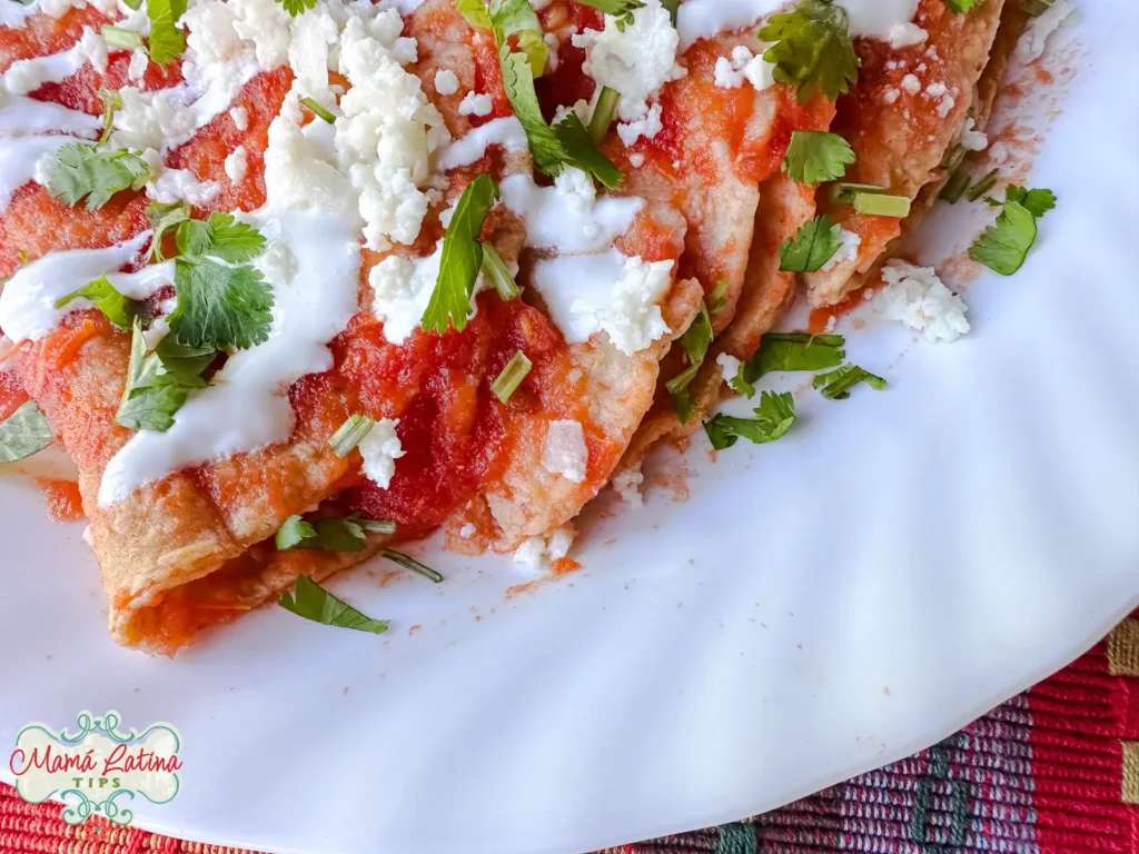 Three Cheese Entomatadas topped with red sauce, crumbled cheese, crema, and chopped cilantro on a white plate.