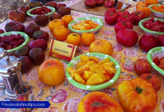 A tasting table with lots of heirloom tomatoes in different colors