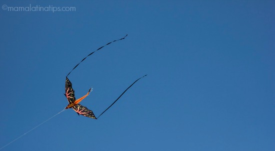 dragon kite-mamalatinatips.com