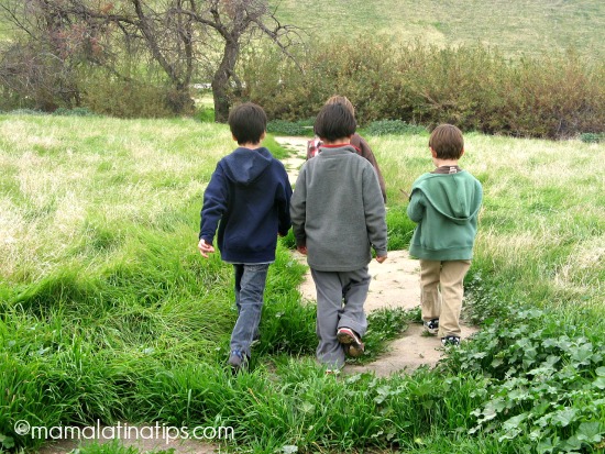 Kids and nature by mamalatinatips.com