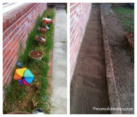 flower bed before and after
