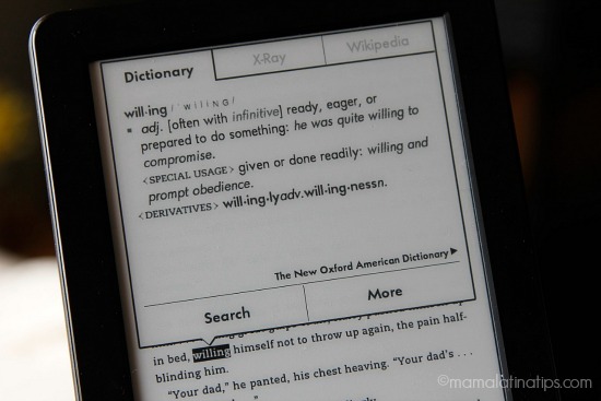 Dictionary feature on the Kindle