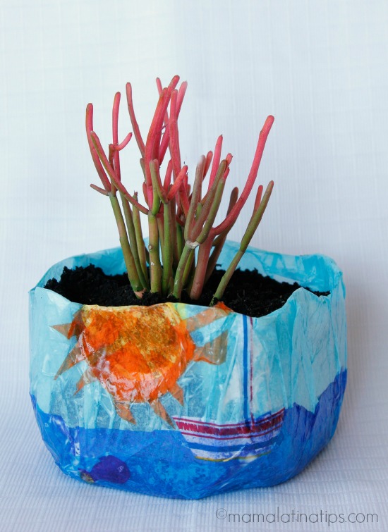 DIY Colorful Planter made with a milk jug by mamalatinatips.com