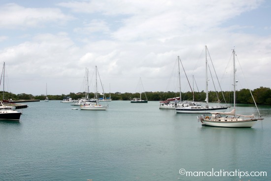 Boats in Miami Fl - mamalatinatips.com