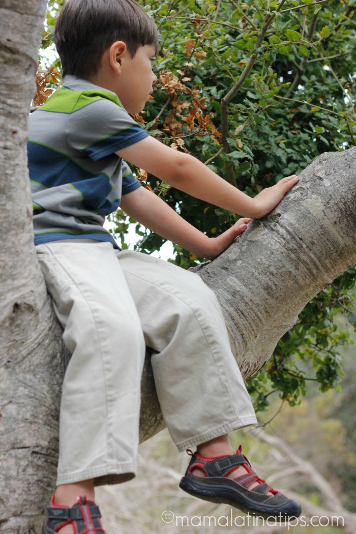 Kid sitting on an oak tree - mamalatinatips.com