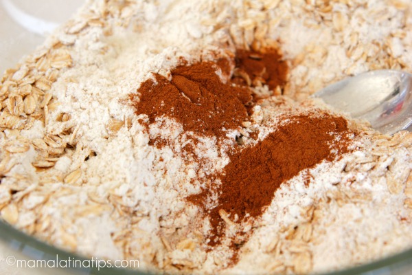 Flour, cinnamon and oats - mamalatinatips.com