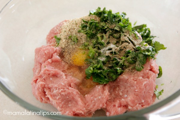 Ground turkey meat with herbs and spices by mamalatinatips.com