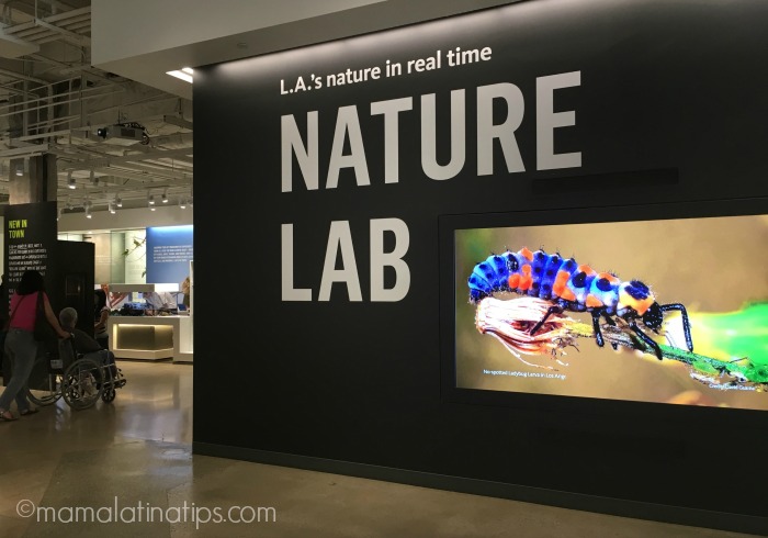 Nature Lab at Natural History Museum in LA - mamalatinatips.com