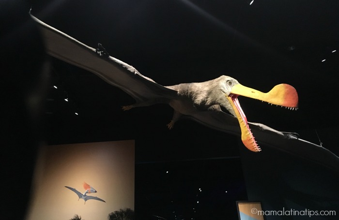 Pterosaurs at Natural History Museum LA - mamalatinatips.com