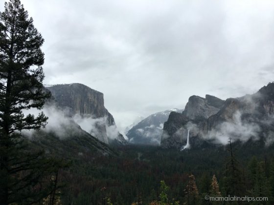 Tender Family Moments in Yosemite