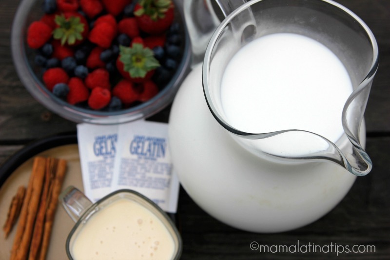 Ingredientes para hacer gelatina de leche - mamalatinatips.com