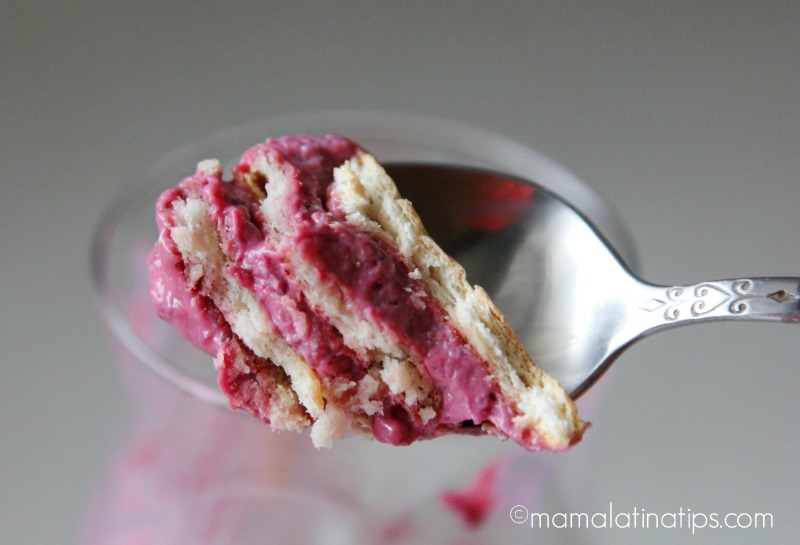 Postre Helado de Zarzamora