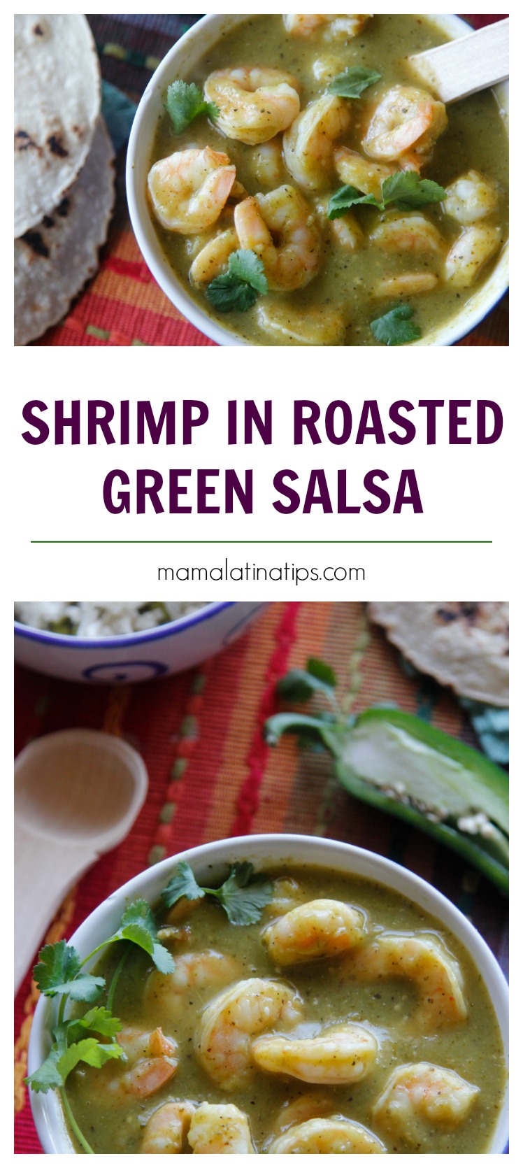 Shrimp in Roasted Green Salsa • Mama Latina Tips