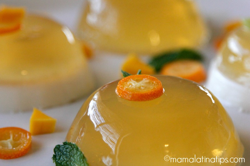 Tropical gelatin with fruit