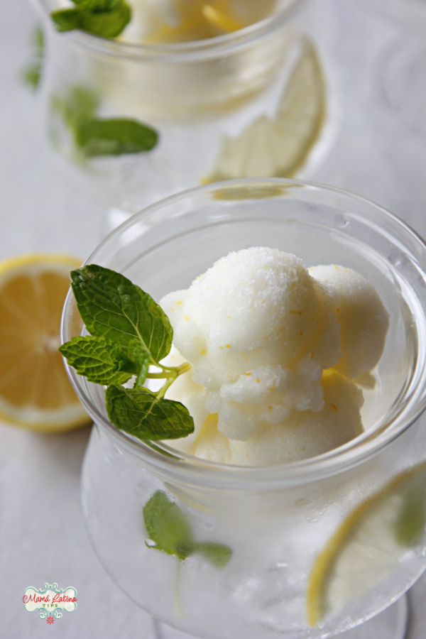 Nieve de menta y limón en una copa y decorada con una hoja de menta.