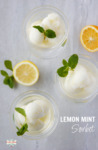 Lemon and mint sorbet in three cups