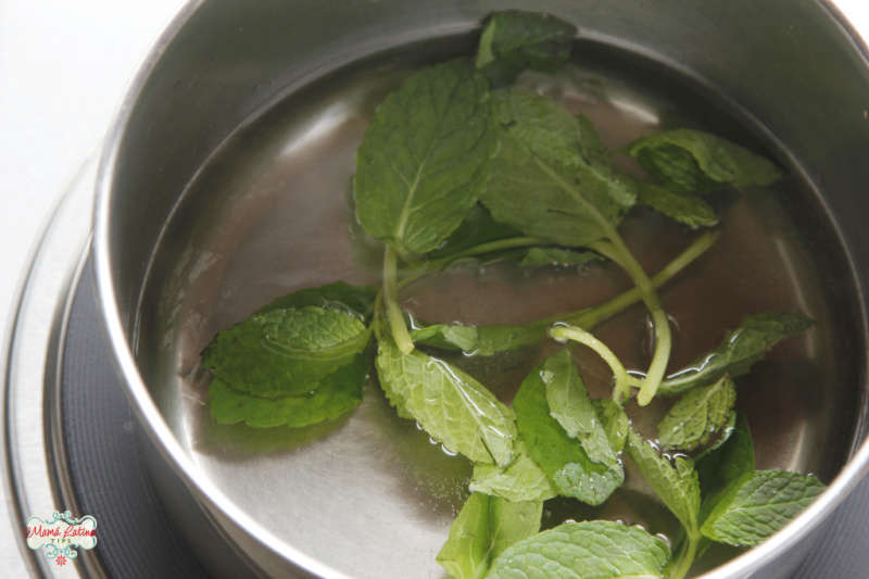 Hojas de menta en agua