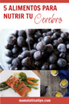 imagen de pinterest con blueberries, salmón y té verde