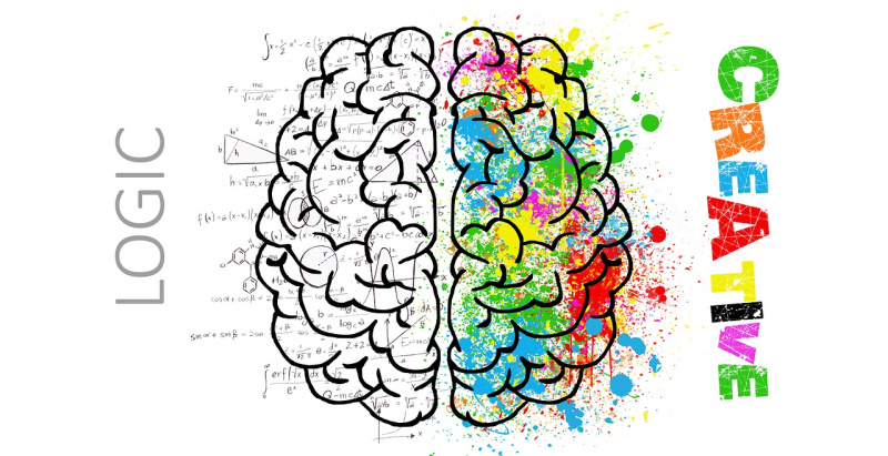 graphic with a brain divided in two, one side says create, the other says logic