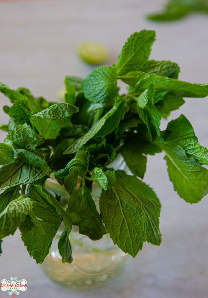 fresh mint leaves