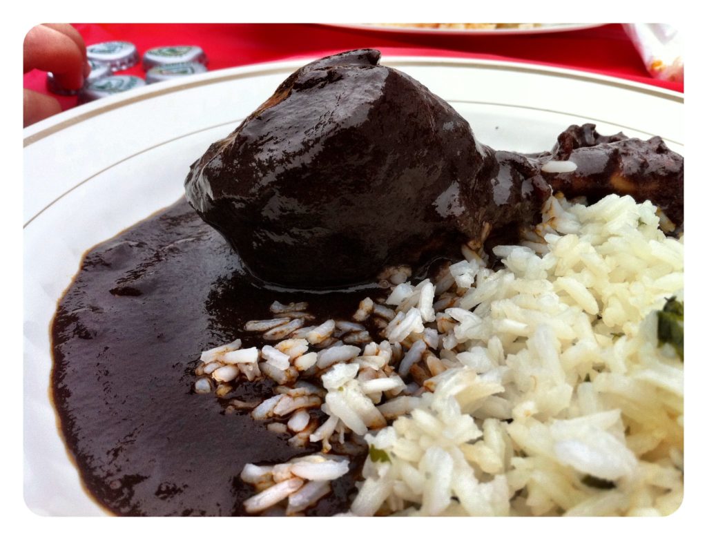 A chicken drumstick covered with black mole served with white rice.