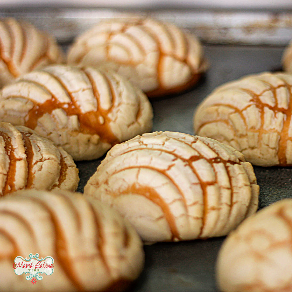 Una charola con conchas de vainilla recién horneadas