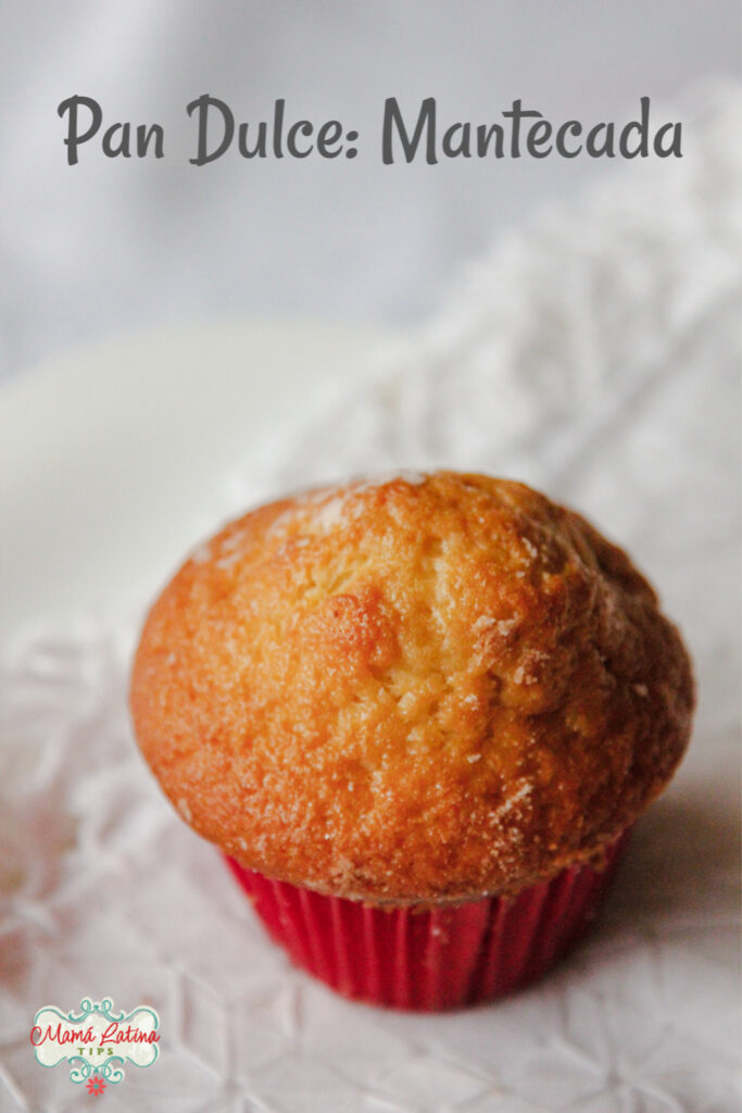 cupcake in a red paper