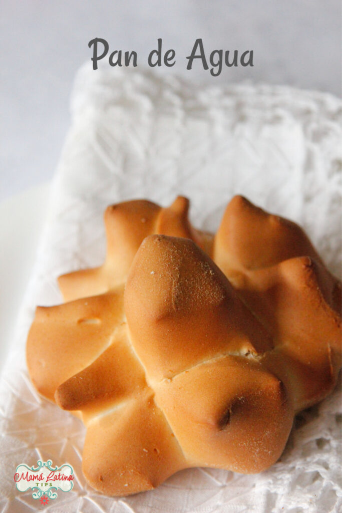 Mexican Sweet Breads (Pan Dulce) - Mamá Maggie's Kitchen