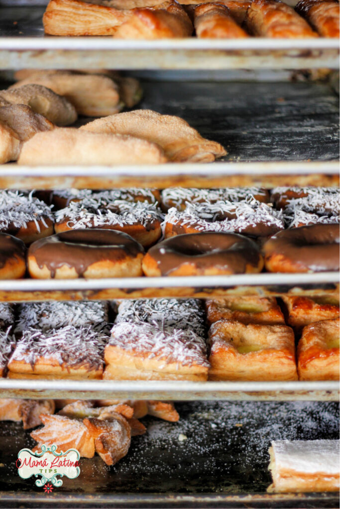 Varios tipos de pan mexicano como donas, cocoles y cuernitos en charolas de panadería. 