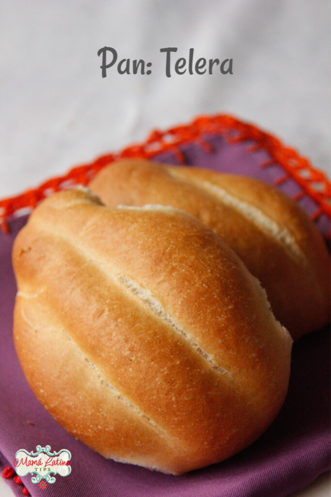 pan de sal mexicano telera