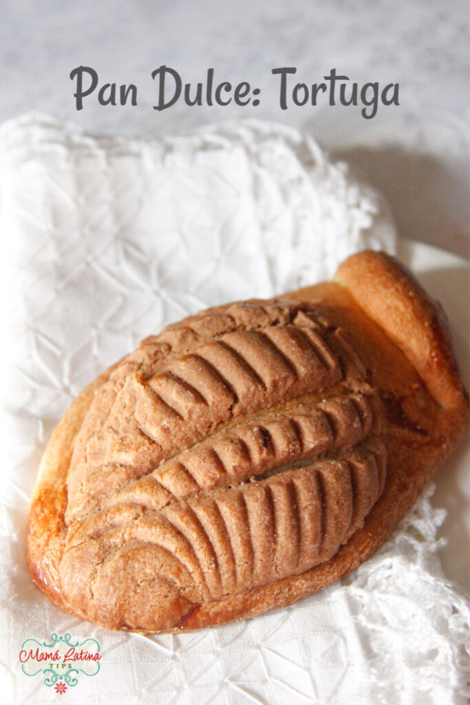 Mexican pan dulce called tortuga or turtle