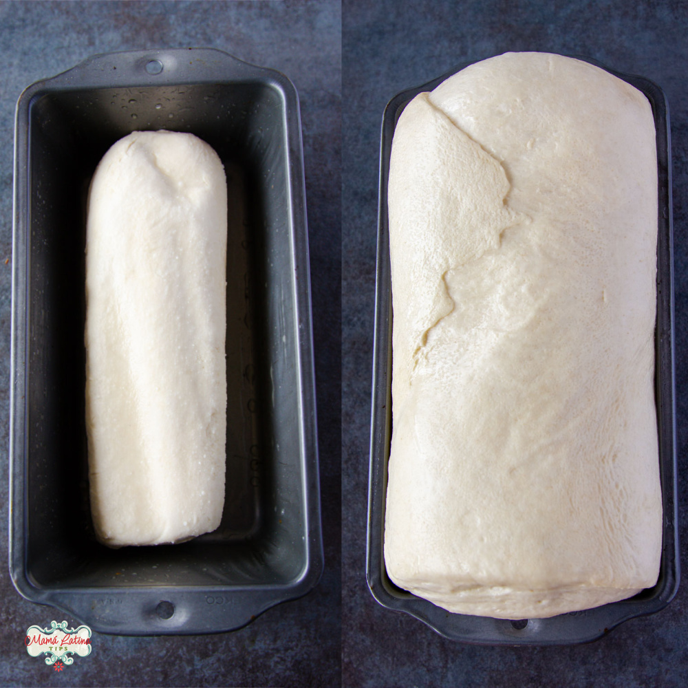 Una comparación entre una barra de pan antes y después del leudado