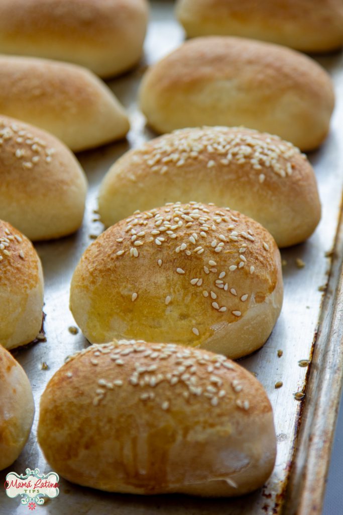 Parkerhouse style rolls with sesame seeds baked
