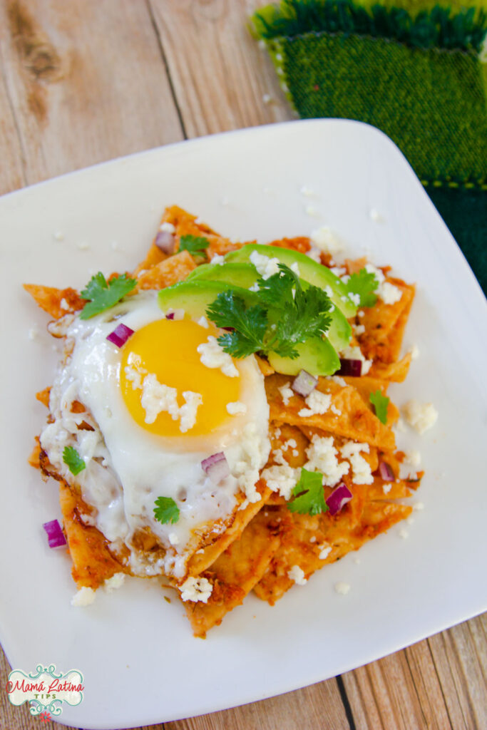 Red chilaquiles with a sunny side egg, avocado, cheese and cilantro on top