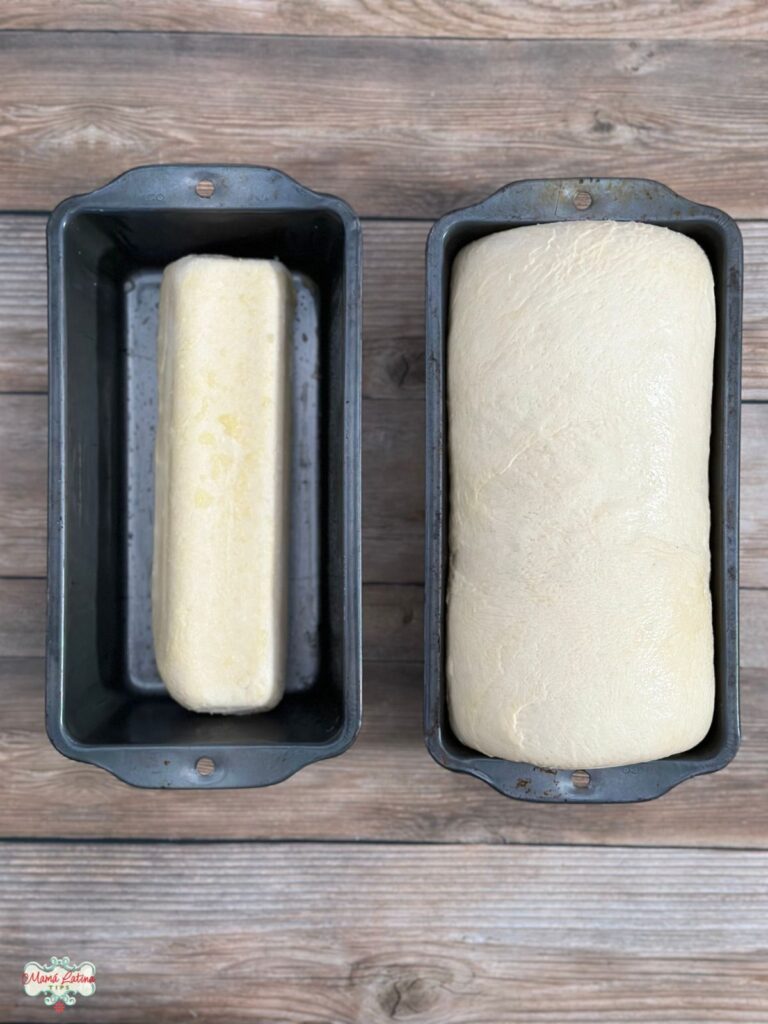 Dos tiras de masa congelada en moldes de pan de caja. Uno está congelado, el otro muestra después del leudado. 