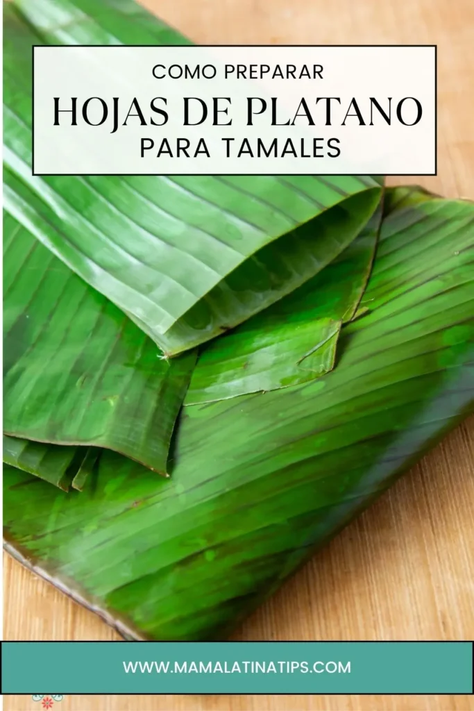 Hojas de plátano apiladas sobre una superficie de madera, mostrando cómo preparar hojas de plátano para tamales y garantizando que sus tamales tengan un toque auténtico.