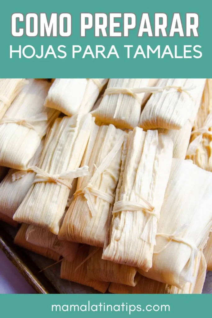 Bandeja de tamales envueltos en hojas de maíz atadas con tiras, con un texto encima que dice "Cómo preparar hojas de tamal: guía paso a paso.